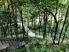 -重庆彩云湖湿地公园