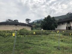 -福建土楼（华安）旅游区•大地土楼群