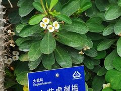 -国家植物园南园