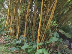 -海南热带野生动植物园