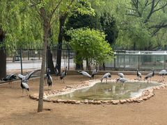 -秦皇岛野生动物园