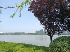 -西安浐灞艾美酒店·汉江餐厅·火锅