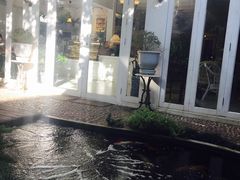 -Fern Forest Cafe