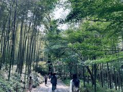 -西湖风景区十里琅珰-五云山