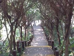 android_upload_pic-东澳岛