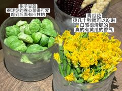 -蘑界·野生菌火锅(深业上城店)