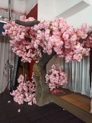 -盘子女人坊生日照·摄影馆(华强店)