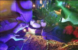 -恐龙探索乐园(磁器口店)