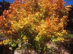 -天津盘山风景名胜区