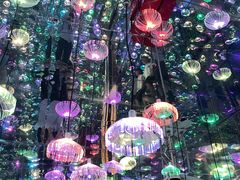 -梵高星空艺术馆(北京旗舰店)