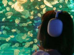 -江和美海洋公园