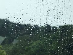 -韶山毛泽东同志故居