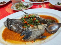 鲜花椒蒸海斑-惠食佳(滨江大公馆店)