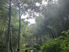-会稽山峡洞漂流-上青古道