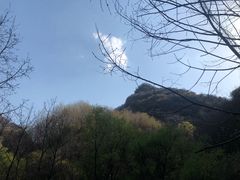 -少华山国家森林公园