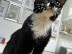 -宠颐生中康贝怡动物医院