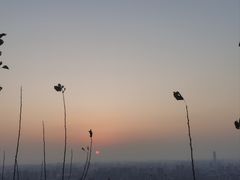 -杭州半山国家森林公园