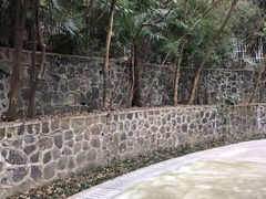 -太子山公园(园东路)
