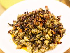 -顺峰渔港中国人的餐厅
