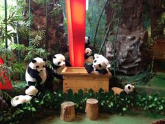 -济州岛泰迪熊博物馆