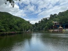 -西双版纳原始森林公园
