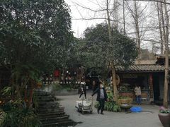 -青城甲(青城山店)