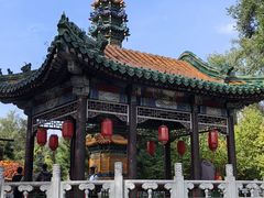 -沈阳植物园