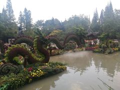-汇龙潭