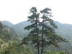 -东天目山风景区