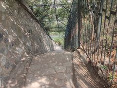-香山公园