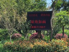 -西溪国家湿地公园