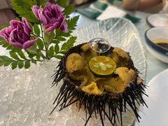 海胆-日月昇渔家菜·海肠捞饭·大连海鲜(星海公园店)