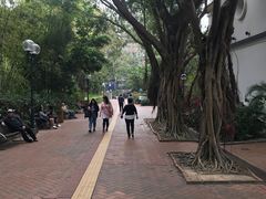 -九龙公园