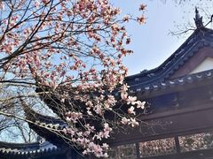 -枫桥景区