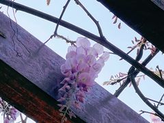 -汇德隆银隆