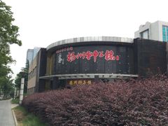 -扬州狮子楼·非遗淮扬菜(总店)