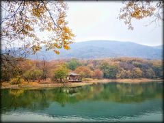 -紫霞湖公园
