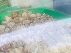 -宫廷糕点铺(双林中横路店)