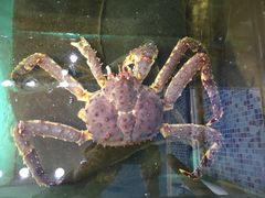-蚝专家(北滘店)