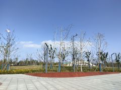 -上海滨江森林公园