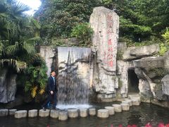 -广州市流溪河国家森林公园