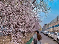 -知春路(地铁站)