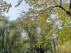 -西安市长乐公园