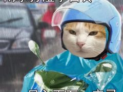 -居石捞·潮汕卤水火锅(南国明珠店)