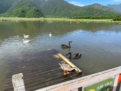 -大九湖