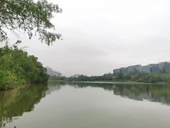 -华侨城湿地公园