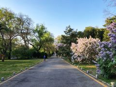 -北京动物园-畅观楼