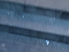 -庆丰包子铺(潘家园店)