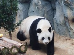 -泉州海丝野生动物世界