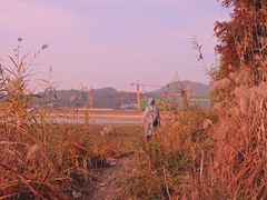-青山湖景区